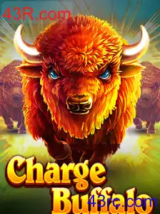 ChargeBuffalo